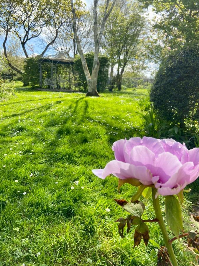 La Ptite Normande Bed & Breakfast Saint-Germain-de-Tournebut Екстериор снимка